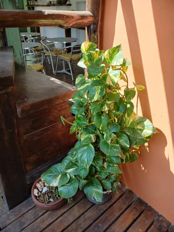 Fotografie z fotogalerie ubytování Pousada Cacau e Dendê v destinaci Barra Grande