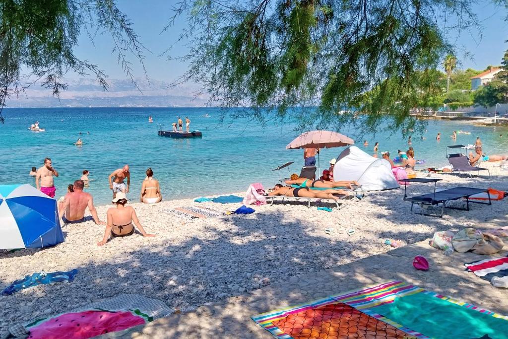 Príroda v okolí apartmánu