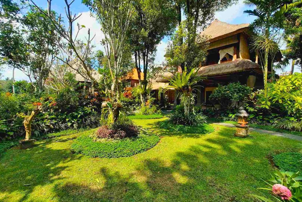 Zahrada ubytování Punita 1 BR Grand Deluxe Garden ZN237