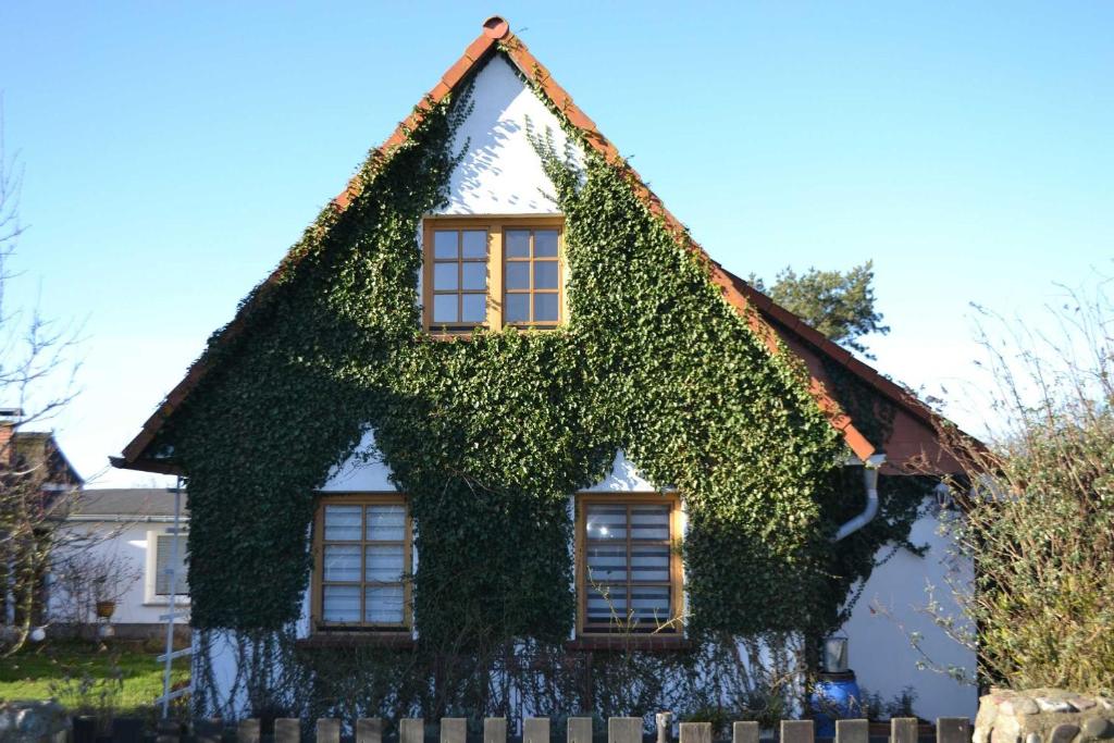 a house covered in ivy at Ferienhaus "Butje" in Vitte