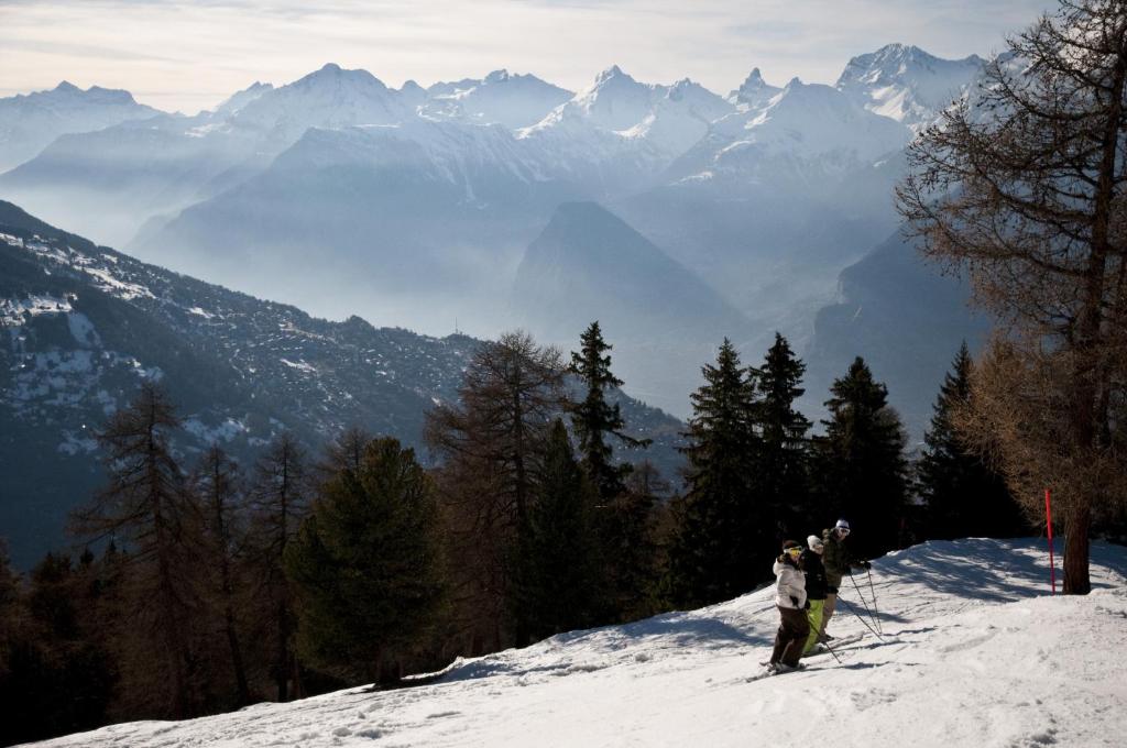 Aeolus MOUNTAIN & QUIET chalet 12 pers by Alpvision Résidences v zimě