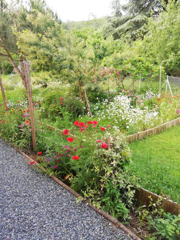 un jardin avec des fleurs rouges sur le côté d'une route dans l'établissement Les Merles, à Marcollin
