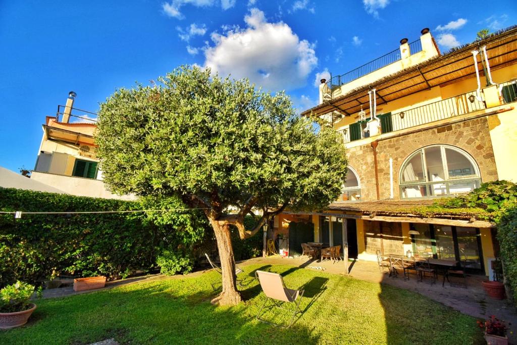 马萨鲁布朗斯Villa Marghe - Sea View Rooms的建筑物院子中的一棵树