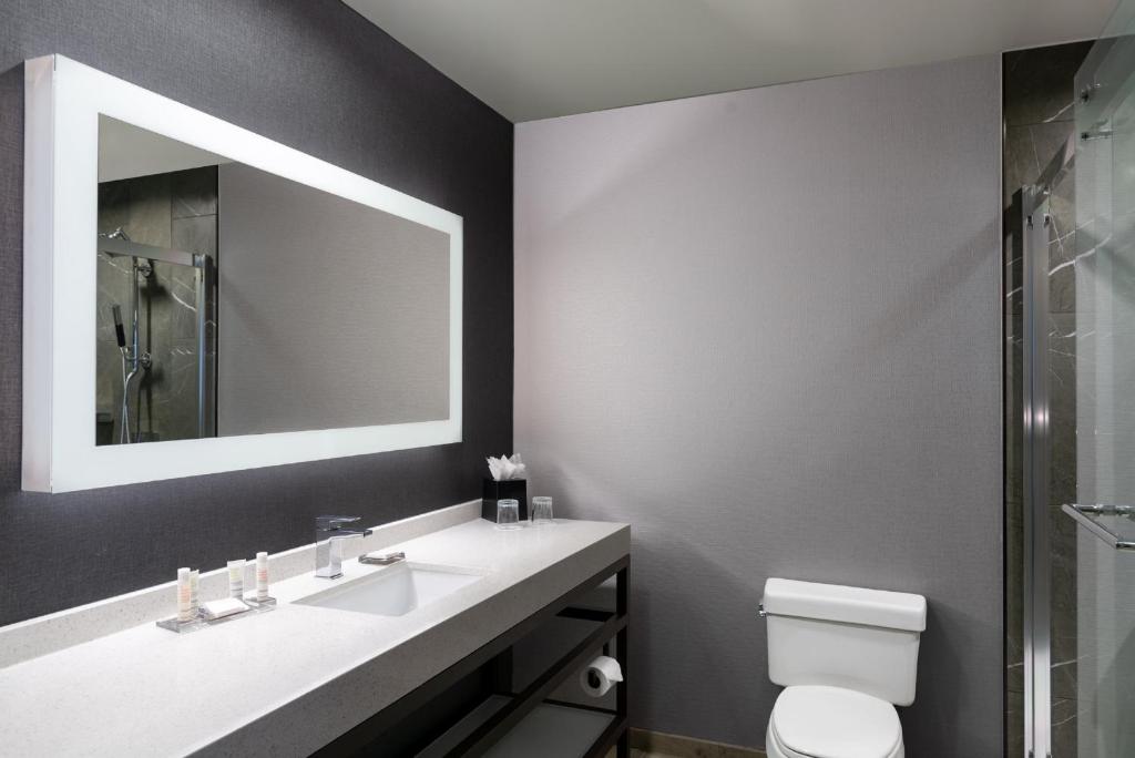 Courtyard by Marriott Chicago at Medical District-UIC - 一居室国王套房