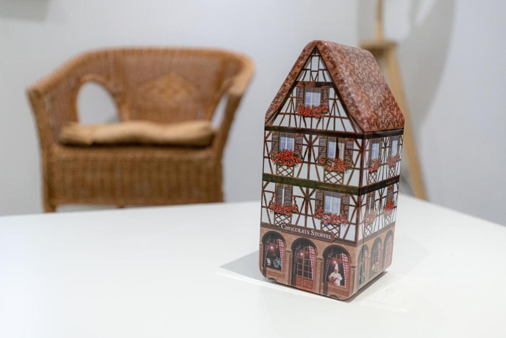 Appartement cosy et lumineux à Kaysersberg – photo 19