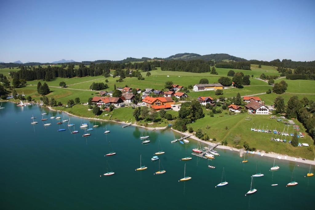 een luchtzicht op een haven met boten in het water bij Seehotel und Appartements Schnöller in Rieden