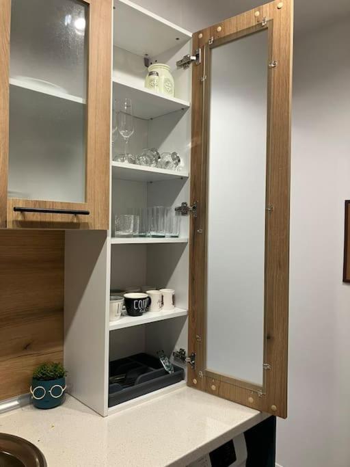 Kuchyň nebo kuchyňský kout v ubytování Apartament Aleksandar Premium