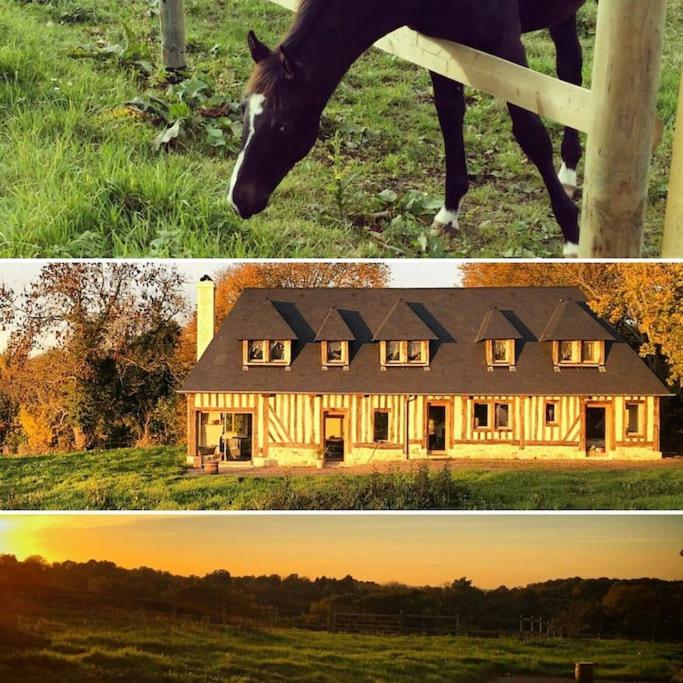deux photos d'un cheval et d'une maison dans l'établissement Maison proche Pont l'Eveque Deauville Honfleur, à Les Authieux-sur-Calonne