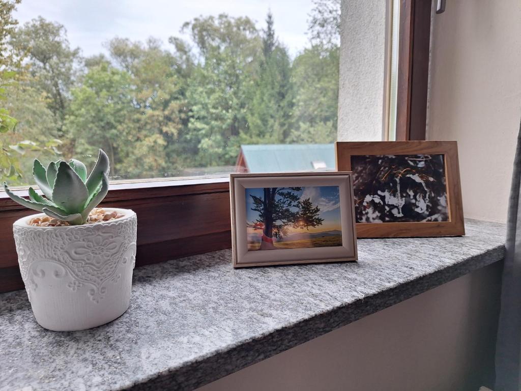 Pokoje Gościnne Perła - 3