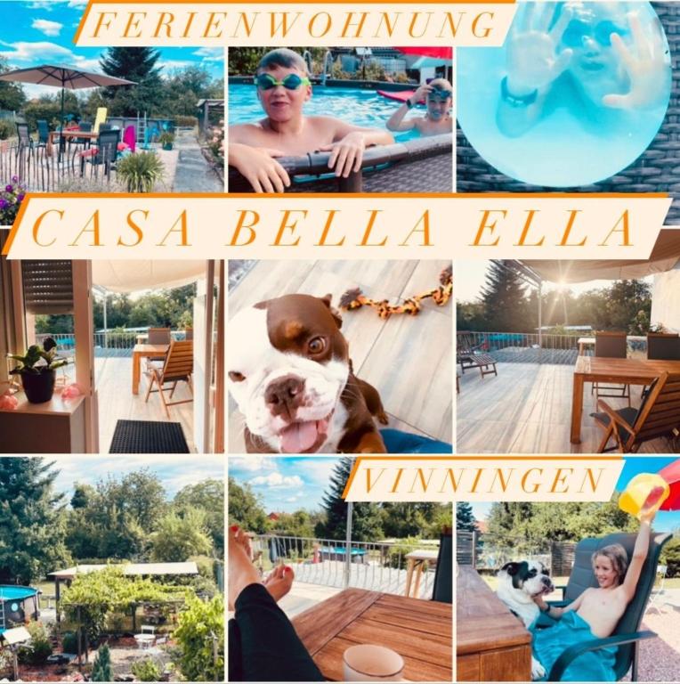 a collage of photos of a swimming pool with a dog at Casa Bella Ella in Vinningen