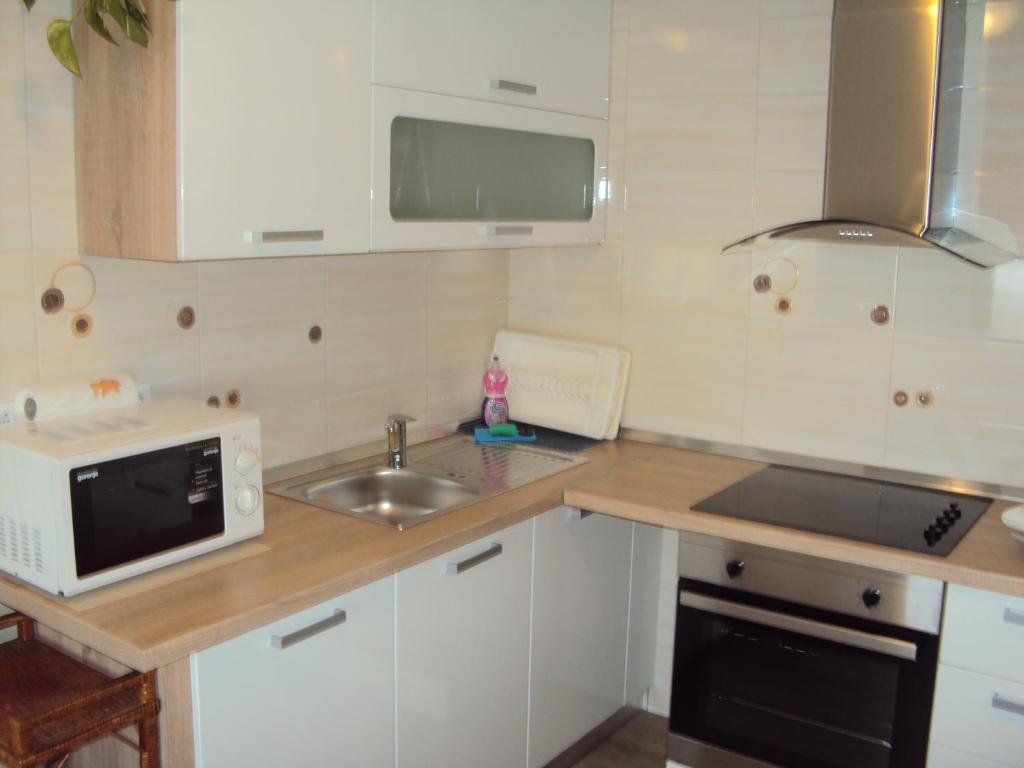 Kuchyň nebo kuchyňský kout v ubytování Apartment Maruška