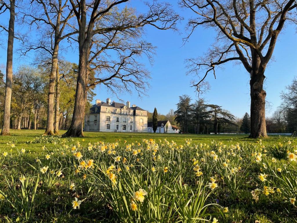 Zahrada ubytování Les Hayes en Sologne