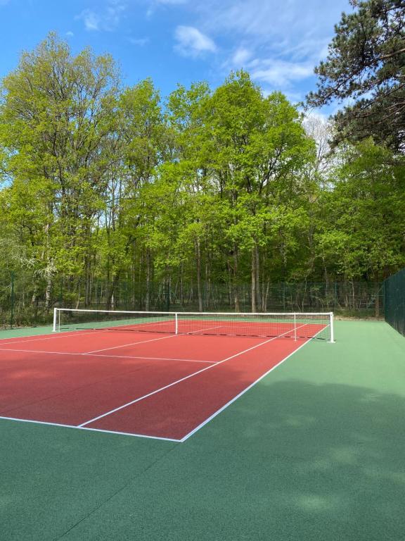 Tenis a/nebo squash v ubytování Les Hayes en Sologne nebo okolí