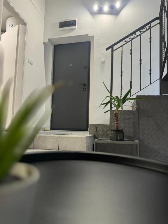 Fotografie z fotogalerie ubytování Apartment Bastion v destinaci Novi Sad