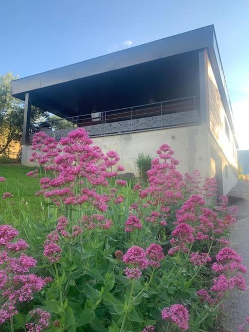 Une bande de fleurs roses devant un bâtiment dans l'établissement la cabane de Maud, à Brison-Saint-Innocent