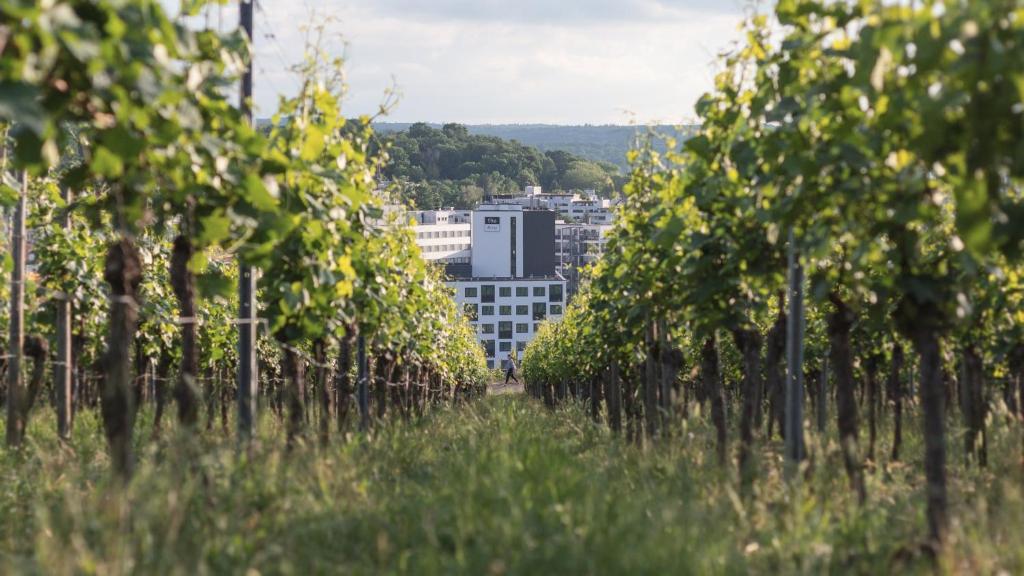 Holiday Inn - the niu, Form Stuttgart Feuerbach by IHG - Resim 30