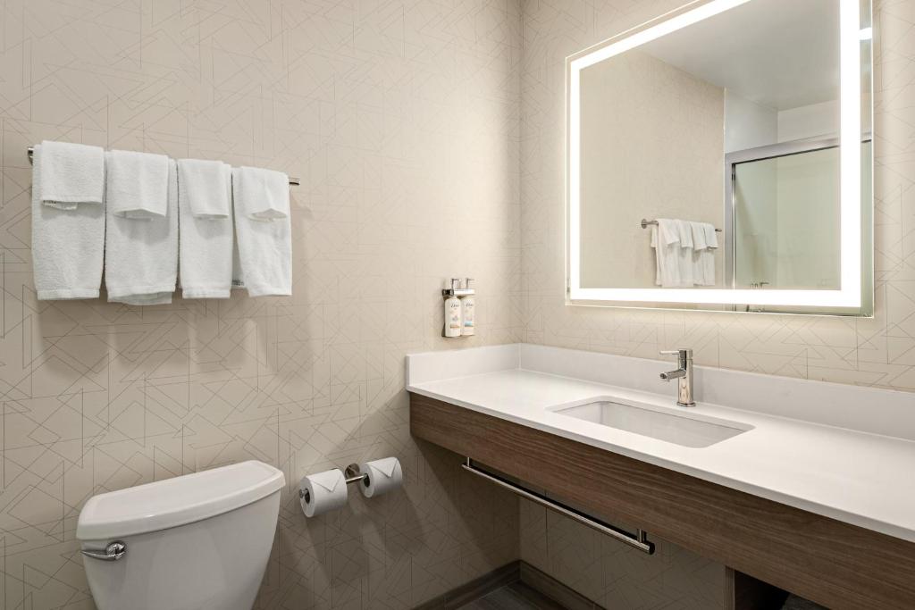 Holiday Inn Express Richmond by IHG - Camera Queen Standard Con Due Letti Queen