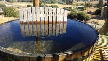 uma grande tigela de água em cima em Lodge Los Bosques em Matanzas