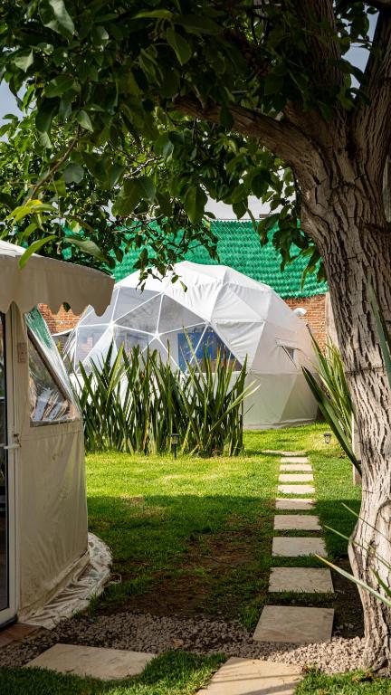 Glamping Cholula - Chambre Double Supérieure Avec Deux Lits Doubles