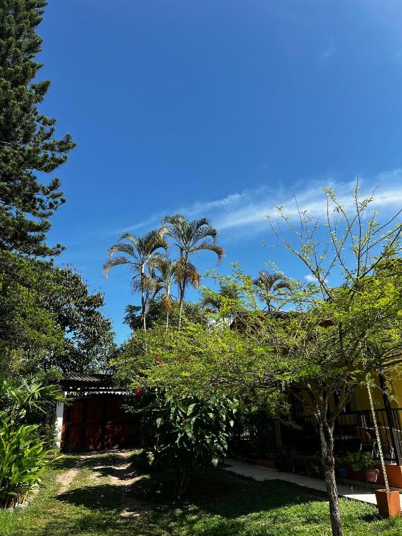 Giardino di Charming Nature House/ Finca Tradicional Cafetera