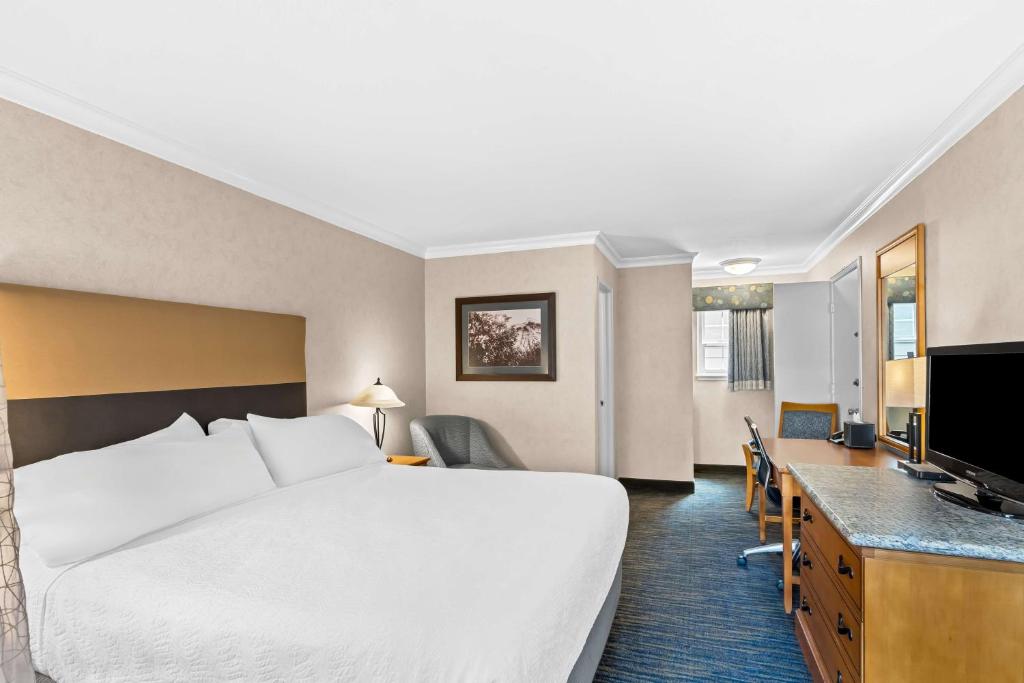 Best Western University Lodge photo