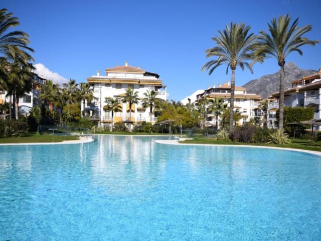 una gran piscina con palmeras y edificios en La Dame De Noche, en Marbella
