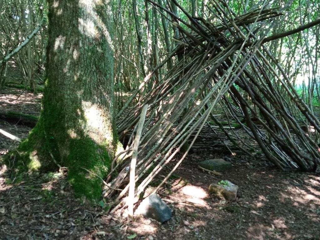 Fotografia z galérie ubytovania Spacieux Gîte Vosgien 3 Épis pour 4 Pers, Randonnées et VTT, Environnement Calme et Verdoyant - FR-1-589-413 v destinácii Le Saulcy
