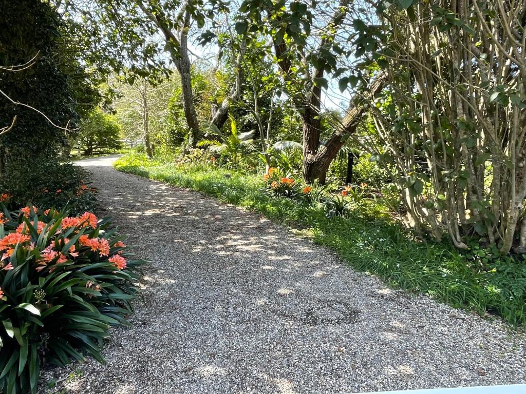 Pa Road B&B Kerikeri NZ - Resim 10