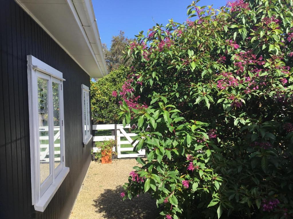 Pa Road B&B Kerikeri NZ - Resim 16