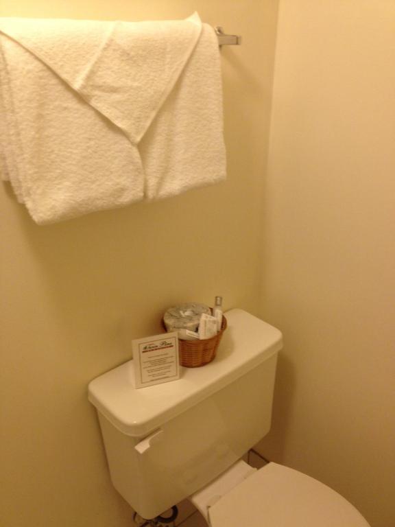 a bathroom with a toilet with a towel hanging above it at Twin Pine Inn & Suites in Hinton