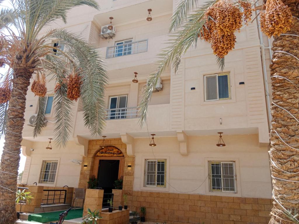 a building with a palm tree in front of it at The Home Siwa ذا هوم سيوة in Siwa