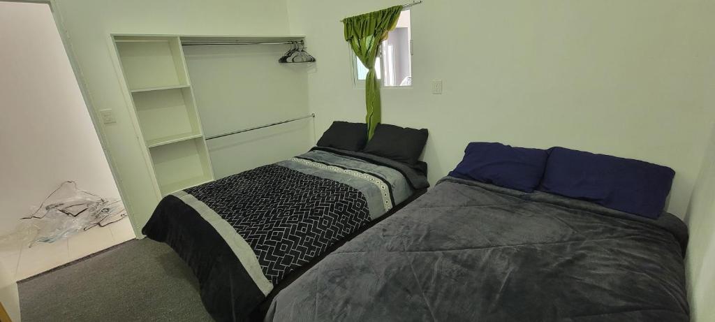 1 dormitorio con 2 camas y planta en Casa IRKEN, en San Pablo Apetatitlán