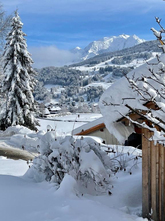 Chalet à Megève-Vauvray - Grands Appartements , vue Mont Blanc v zimě