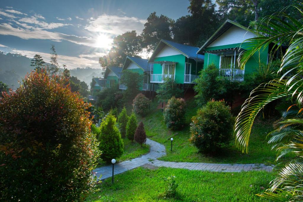 a row of houses on a hill with a pathway at The Arbour Resort Munnar in Munnar