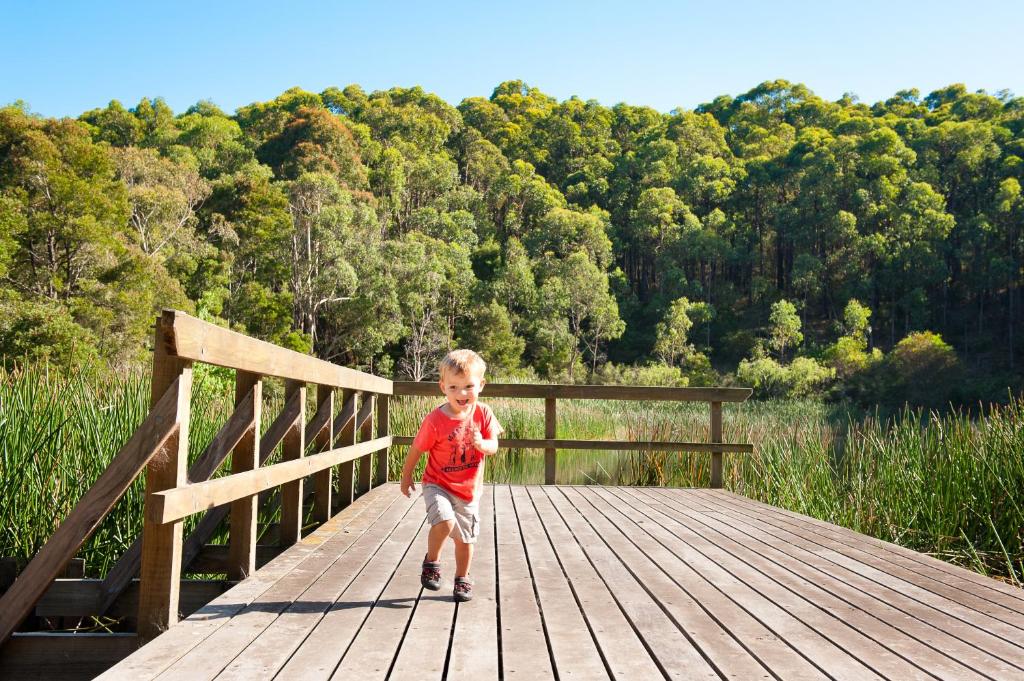 Gallery image of BIG4 Yarra Valley Park Lane Holiday Park in Healesville