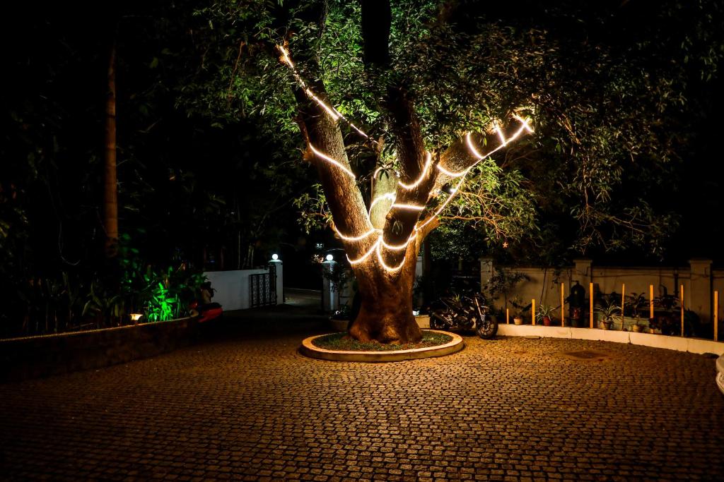 Zahrada ubytování Old Lighthouse Bristow Hotel , Fort Kochi