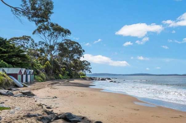 a sandy beach with trees and the ocean at Treetops-Large Home 9km to CBD Sleeps 10 in Hobart