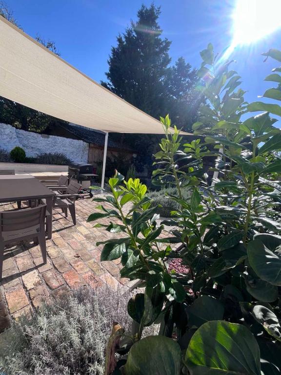 Zahrada ubytování MYKONOS APARTMAN