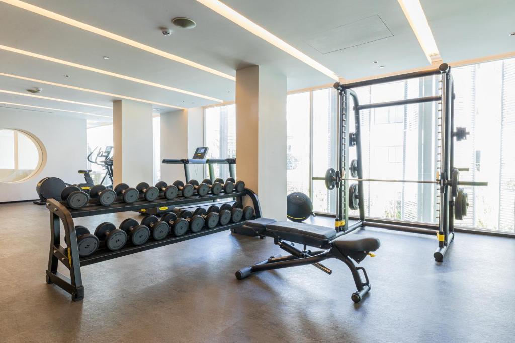 A weight-training area with dumbbell racks, a squat rack, and an adjustable bench by the windows.