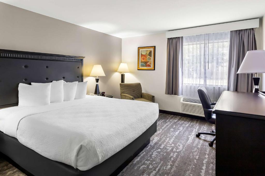 Best Western  Saluki Inn