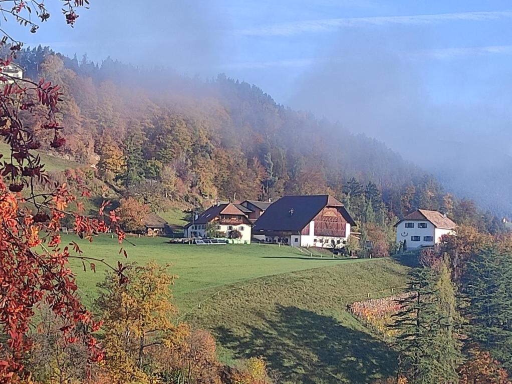 Příroda nedaleko apartmánu