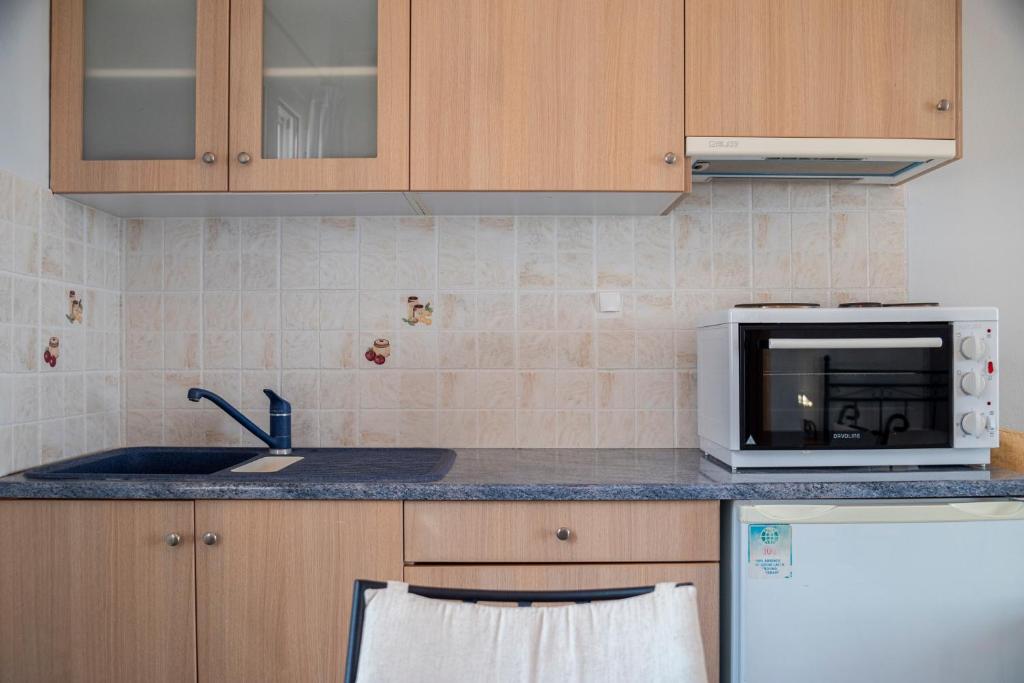 Kuchyň nebo kuchyňský kout v ubytování Agnadi Blue Apartments