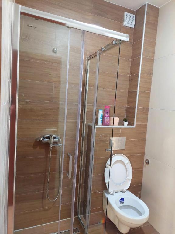 Koupelna v ubytování Apartmani DIVČI Tron 9