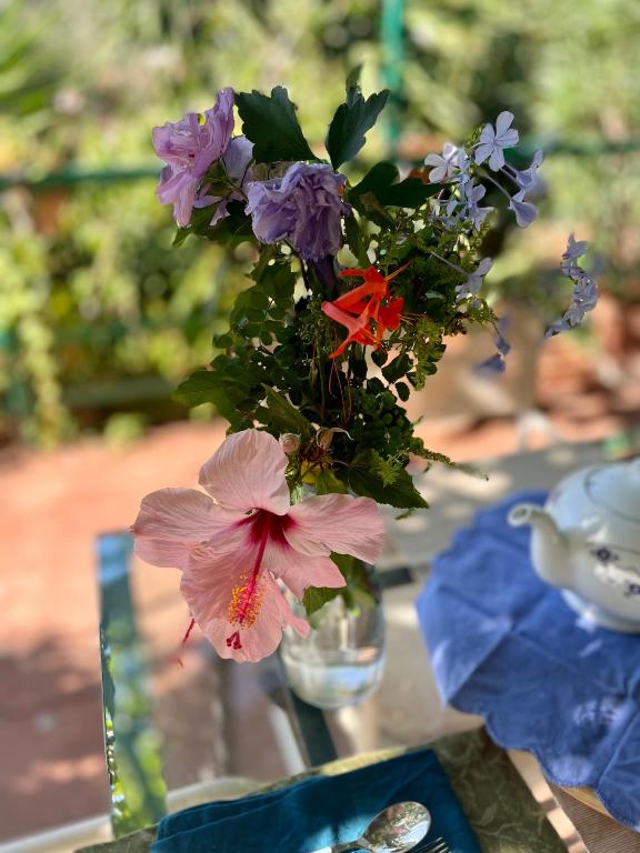 Giardino di Villa Salina - Vicina al mare con giardino privato