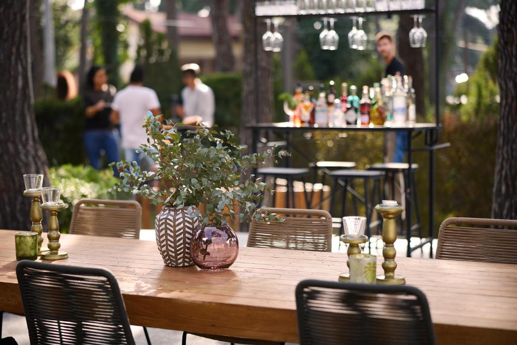 Hosté ubytování Domotel Kastri