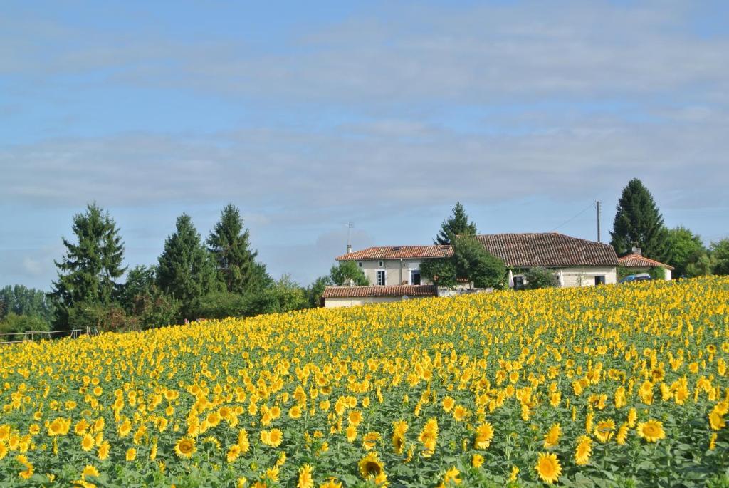 BrossacにあるChez Sarrazinの家の前のひまわり畑