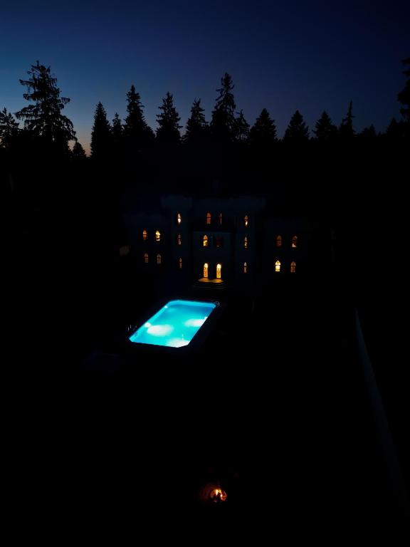 Bazén v ubytování The Castle - Your unique way of retreat nebo v jeho okolí