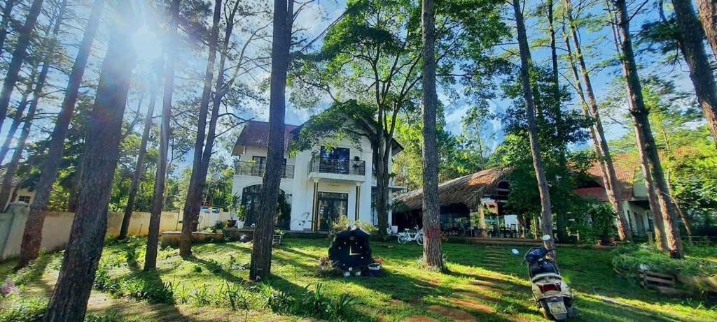 Snghe homestay Măng Đen, Kon Von Kla (giá cập nhật 2025)