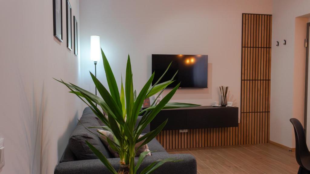 TV a/nebo společenská místnost v ubytování 48 Cadorna - Sostify
