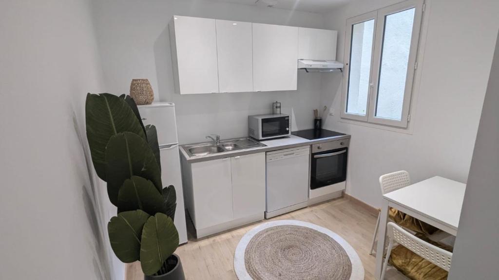 een kleine keuken met een spoelbak en een magnetron bij Cosy Sun - T1 - Patio privatif in Pau